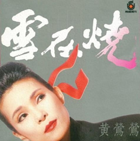 电影雪在烧在线观看,燃烧的复仇火焰，揭秘复仇之路  第3张