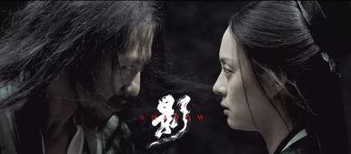 影子武士电影在线观看,暗影崛起，在线观影指南  第3张